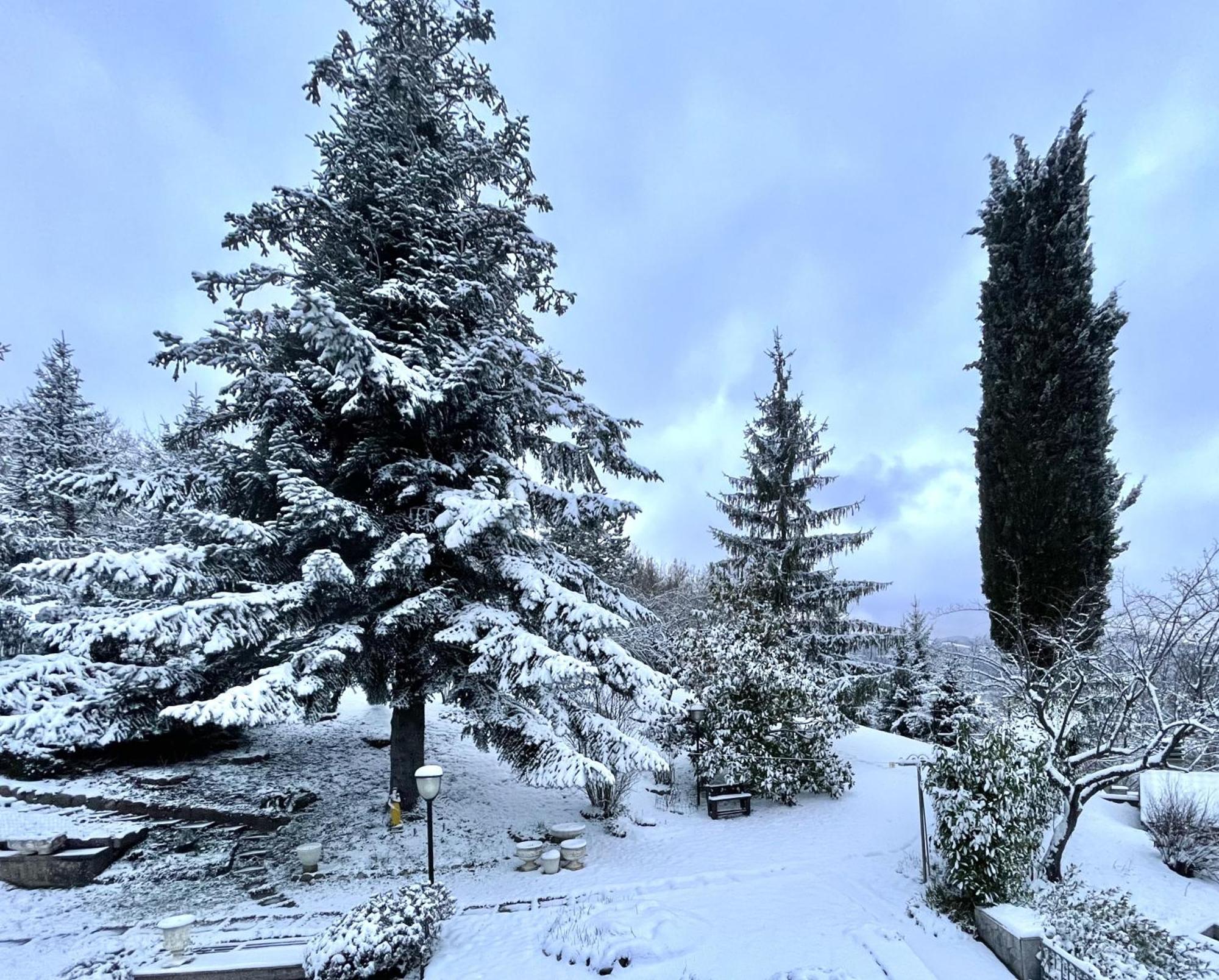 Mazzetti Country House-Vita In Campagna Con Giardino Vimignano-Chiesa ภายนอก รูปภาพ