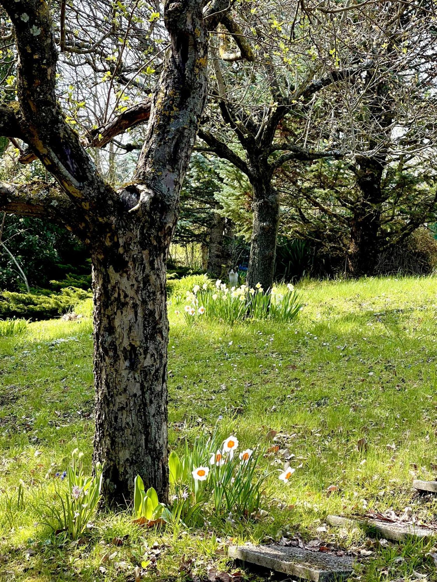 Mazzetti Country House-Vita In Campagna Con Giardino Vimignano-Chiesa ภายนอก รูปภาพ
