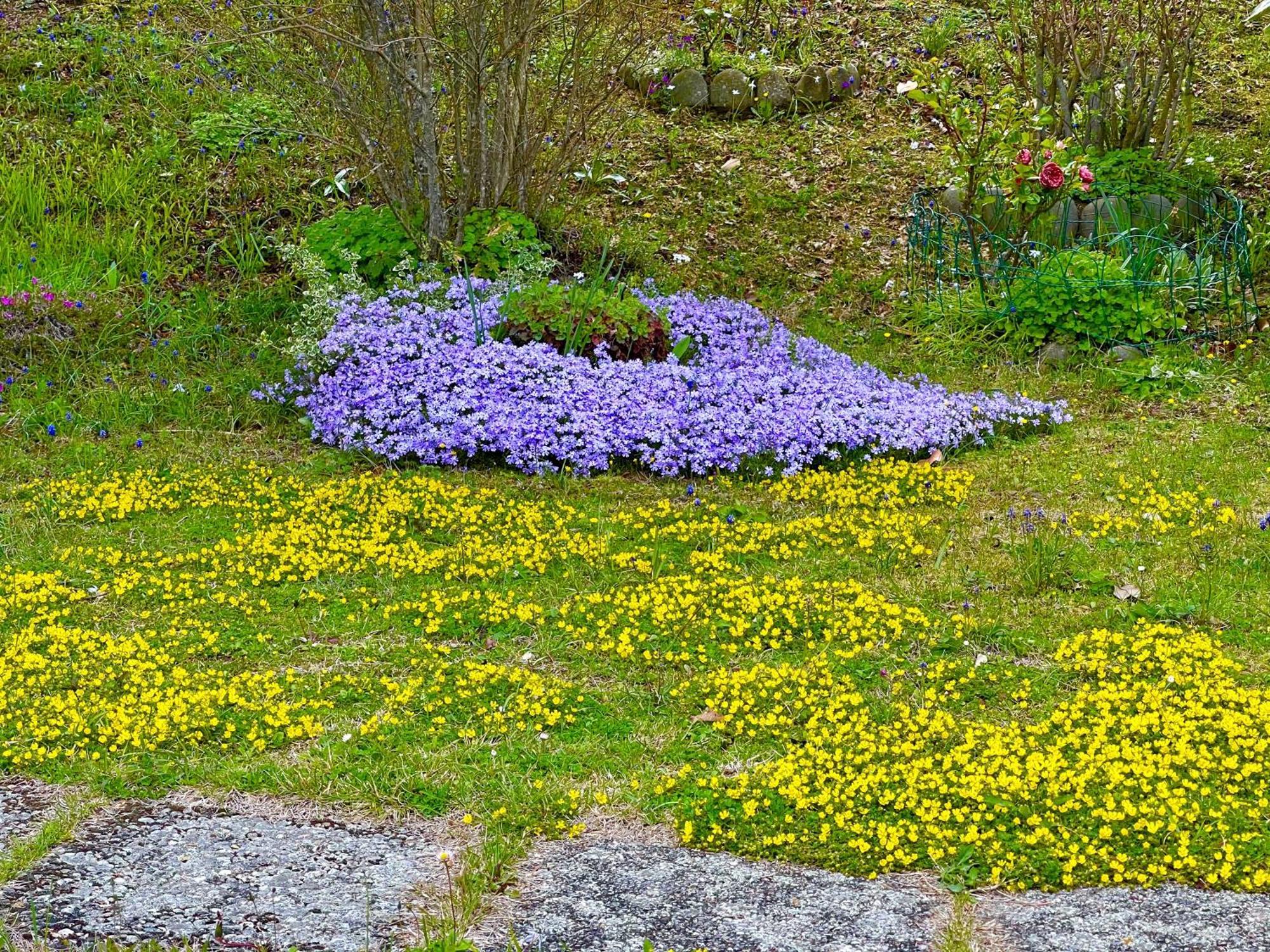 Mazzetti Country House-Vita In Campagna Con Giardino Vimignano-Chiesa ภายนอก รูปภาพ