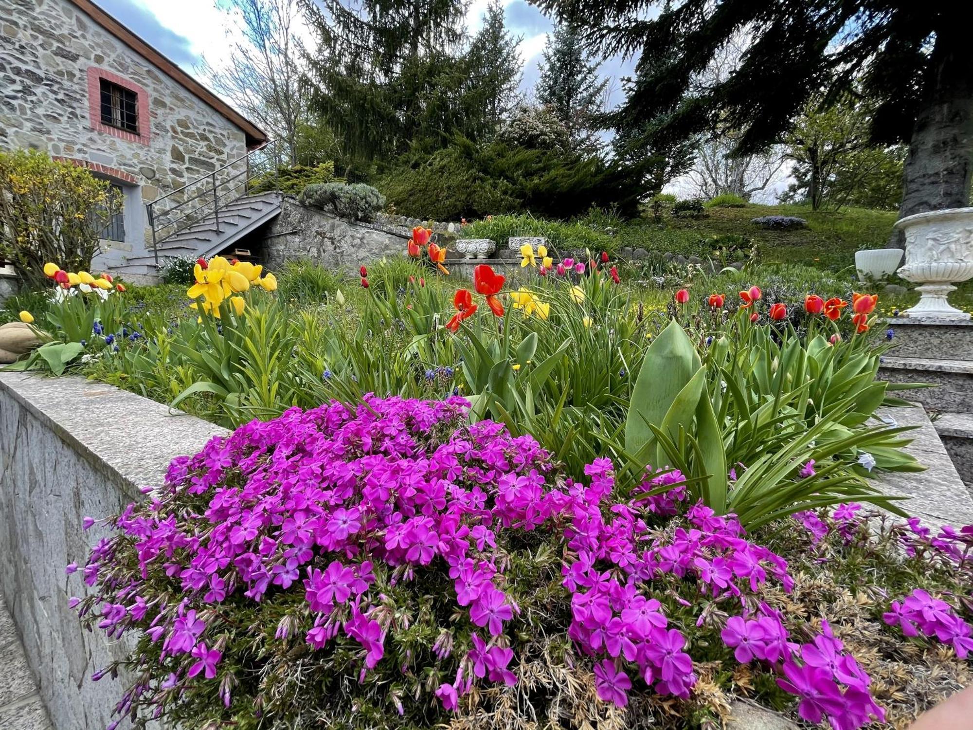 Mazzetti Country House-Vita In Campagna Con Giardino Vimignano-Chiesa ภายนอก รูปภาพ