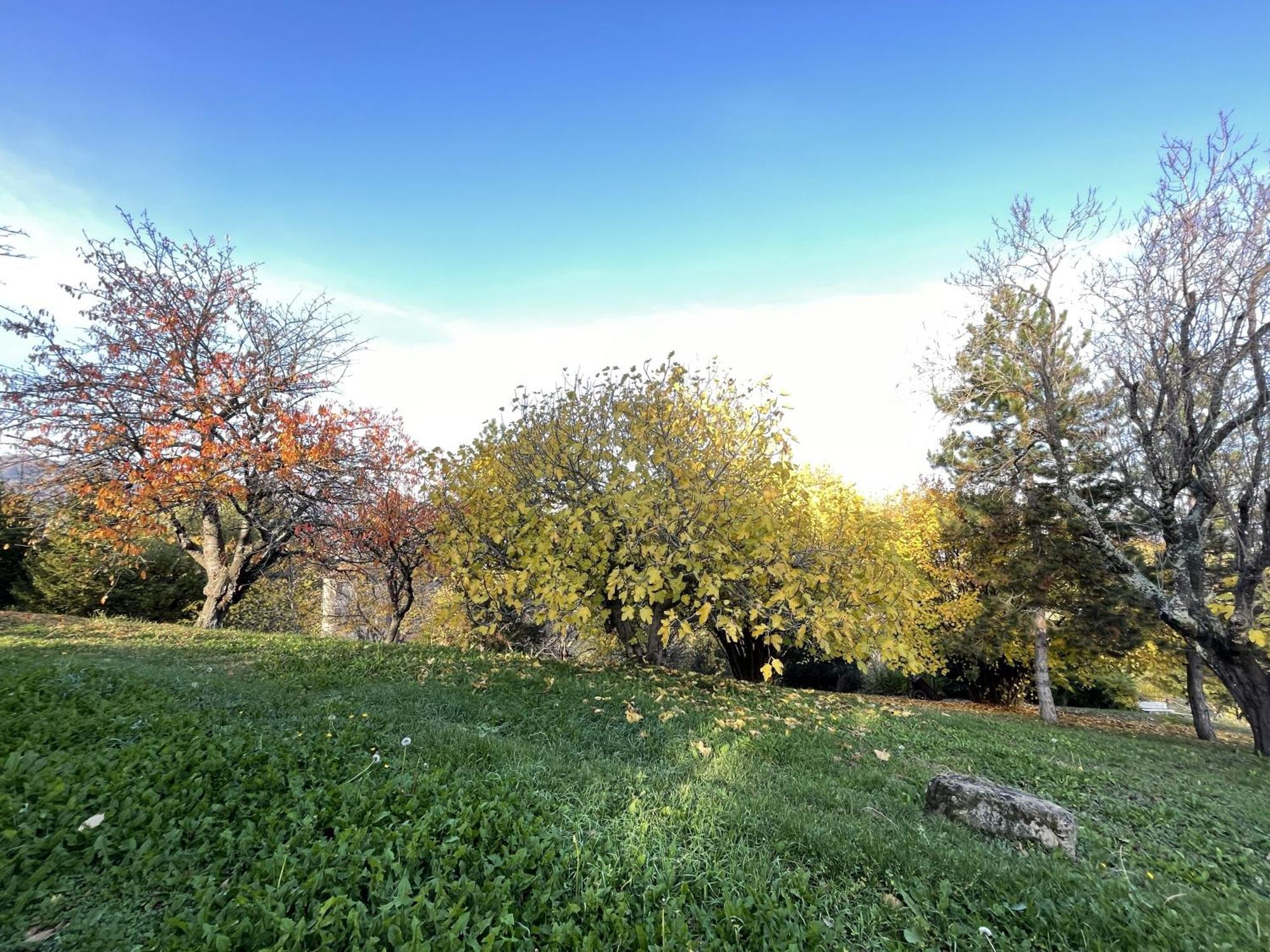 Mazzetti Country House-Vita In Campagna Con Giardino Vimignano-Chiesa ภายนอก รูปภาพ
