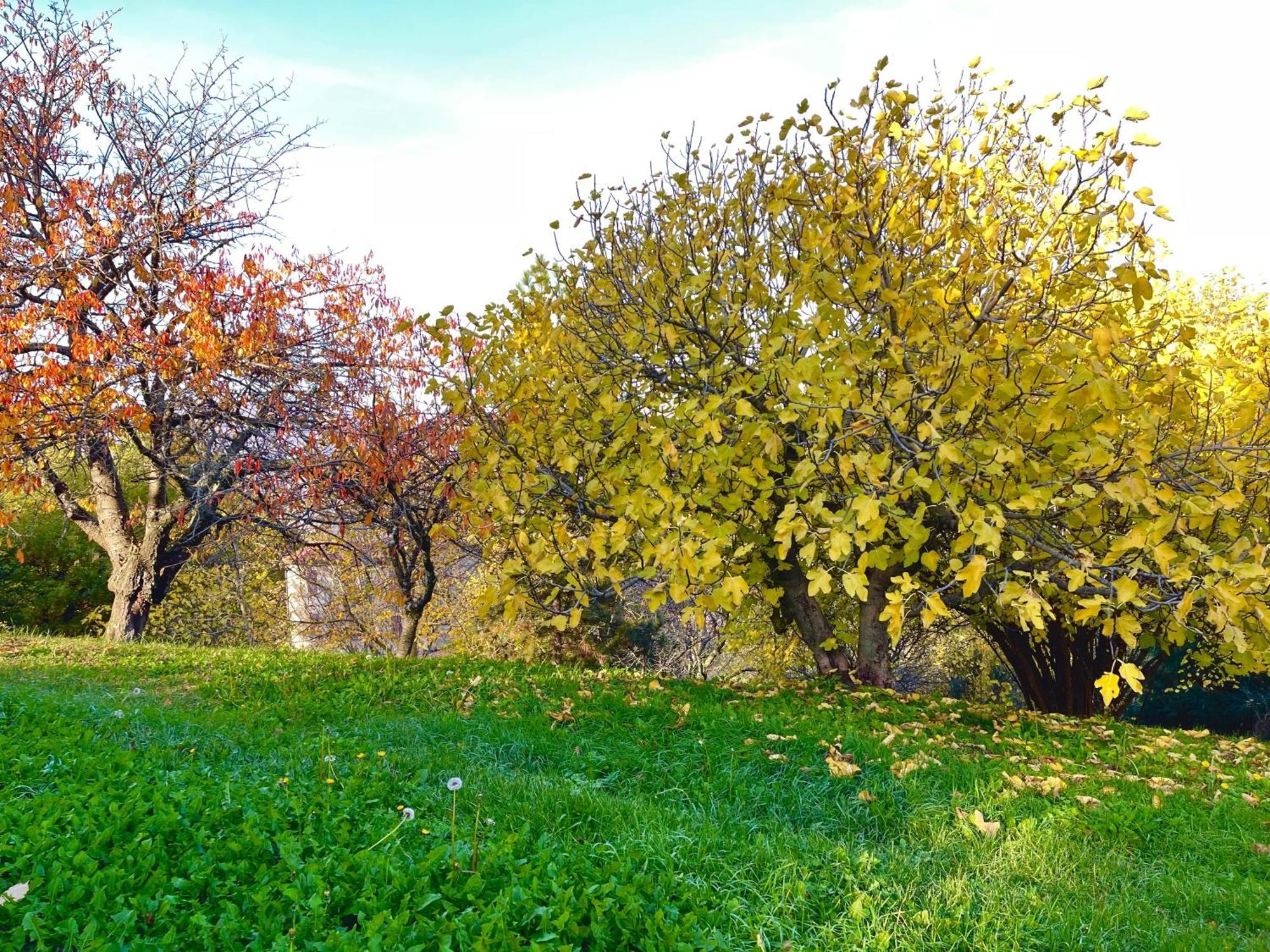 Mazzetti Country House-Vita In Campagna Con Giardino Vimignano-Chiesa ภายนอก รูปภาพ